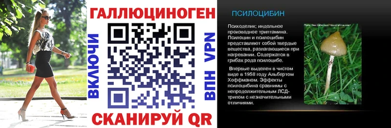 наркота  Аркадак  Галлюциногенные грибы прущие грибы 